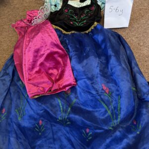 Anna costume age 5-6