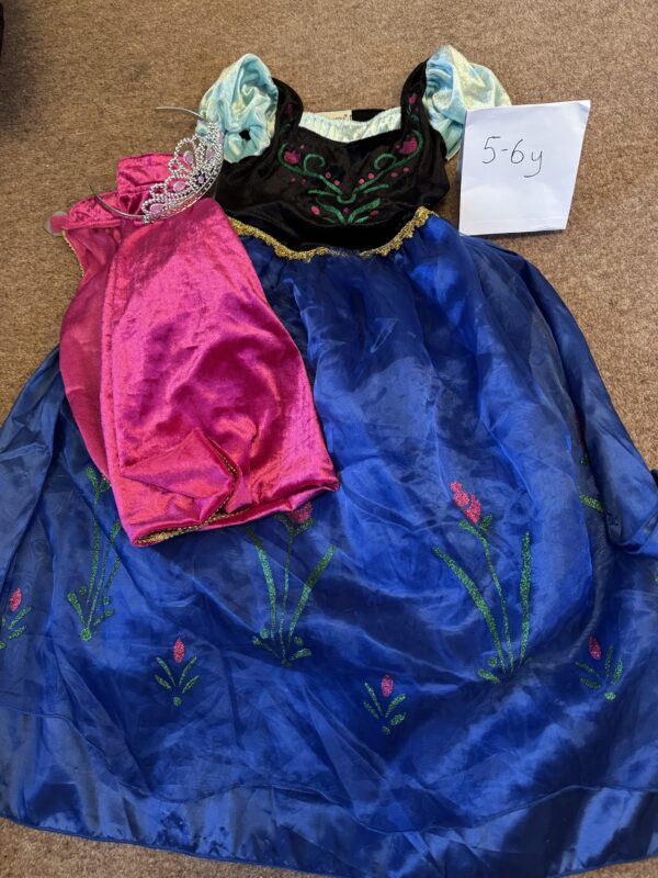Anna costume age 5-6