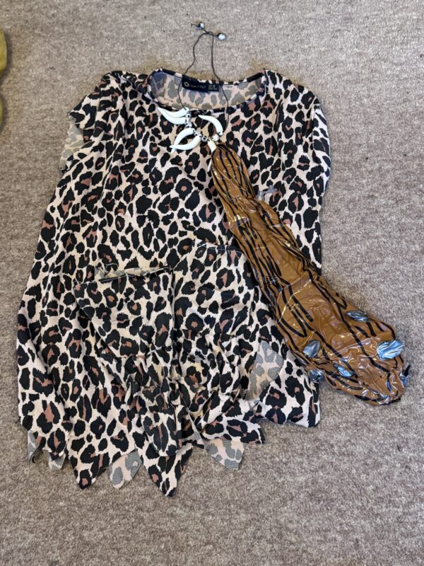 Stone Age costume age 7